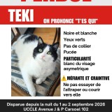 Teki