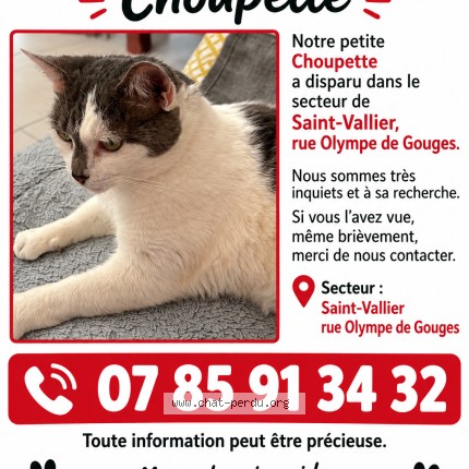 Photo 1/1 Choupette Chat perdu à Saint Vallier