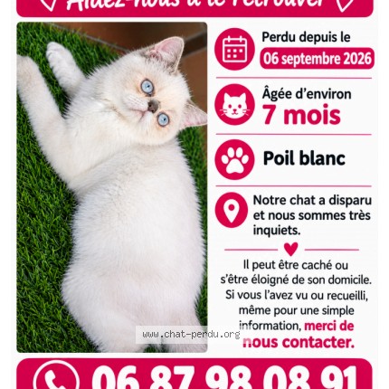 Photo 1/1 leo Chat perdu à Marseille
