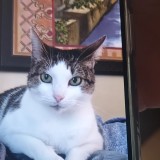 sophie