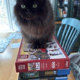 Merlin