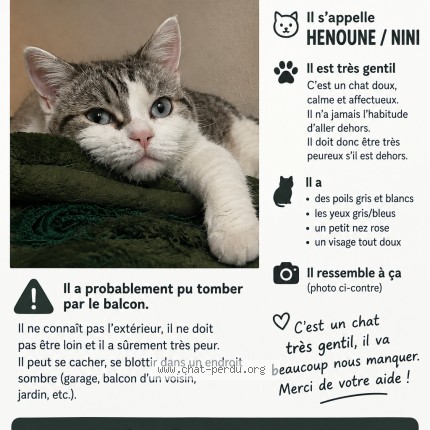 Photo 1/1 Henoune Chat perdu à Barberaz