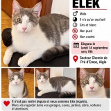 elek