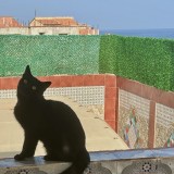 Bissou