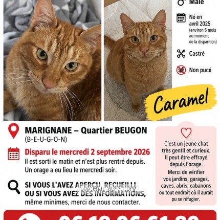 Photo de chat perdu à Marignane