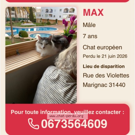 Photo 1/1 MAX Chat perdu à Marignac