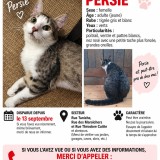 Perceval