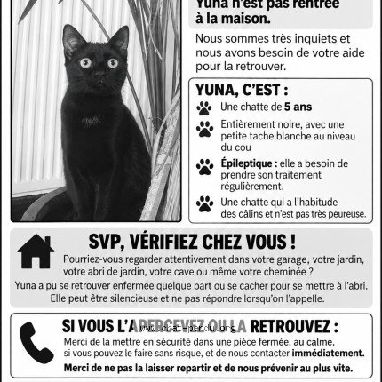 Photo de chat perdu à Lallaing