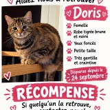 doris