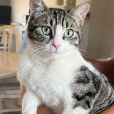 mat