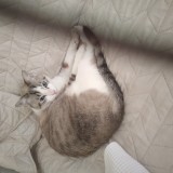 Rosie