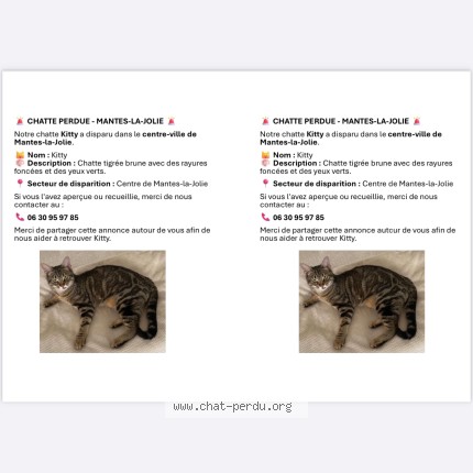 Photo 1/1 kitty Chat perdu à Mantes La Jolie
