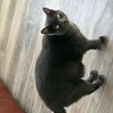 Lucie