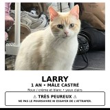 Larry