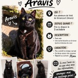 Aravis