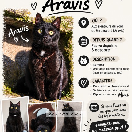 Photo 1/1 Aravis Chat perdu à Girancourt
