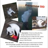 sid