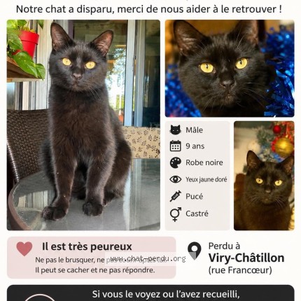 Photo 1/1 blacky Chat perdu à Viry Chatillon