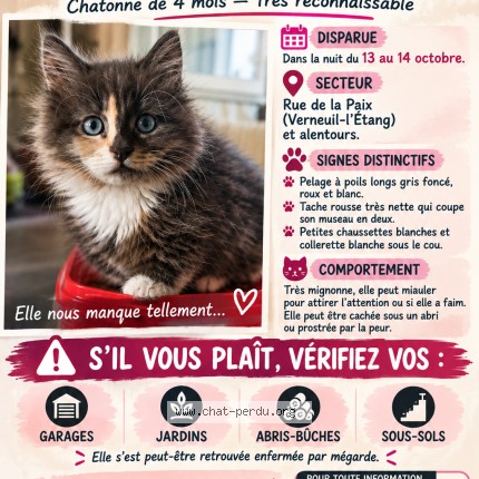 Photo 1/1 Touffu Chat perdu à Verneuil L Etang