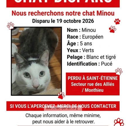 Photo de chat perdu à Saint Etienne