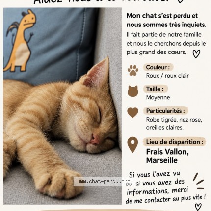 Photo 1/1 moka Chat perdu à Marseille